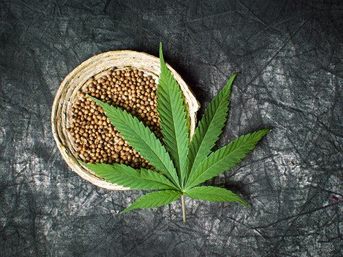 What are the many uses of Hemp ?