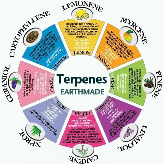 Terpenes - What are Terpenes